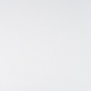 Daisy 4001