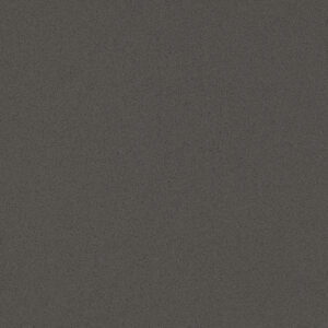 Diversa-1106