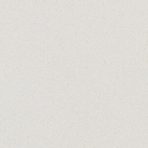 Snow Flake-1103