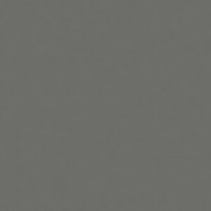 Gris Expo